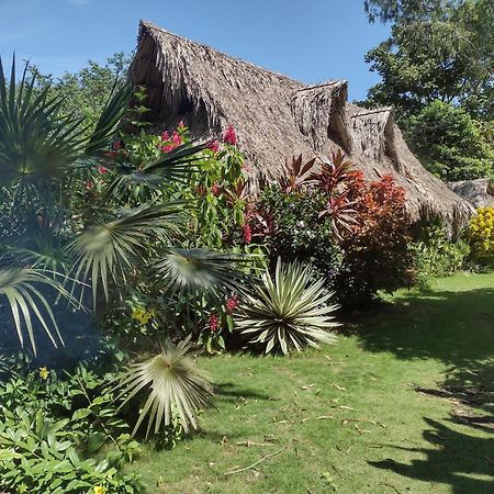 Sexto Sentido Cabañas&Pan Frances Palomino Exterior foto